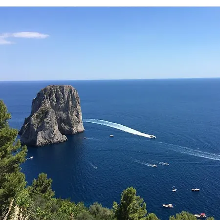 Iutta