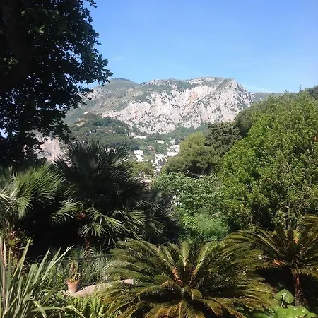 Iutta
