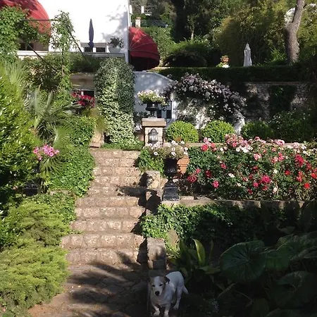 Iutta Capri