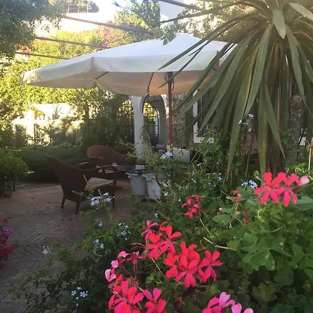 Iutta Capri