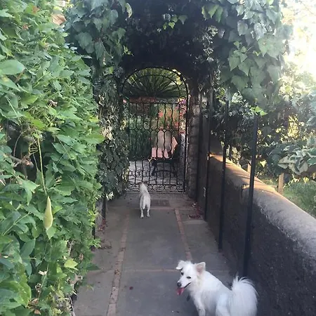 Iutta Nocleg ze śniadaniem *
