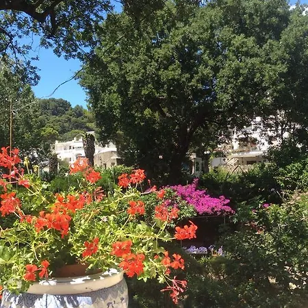 Iutta * Capri